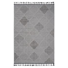 4X6 White/Grey /Trellis Indoor/Outdoor Area Rug - as Pic