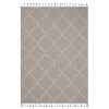 4X6 Ivory /Trellis Indoor/Outdoor Area Rug - as Pic