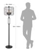 65"H BLACK INDUSTRIAL WIRE CAGE FLOOR LAMP W/ EDISON BULB(1PCS/CNT)(4.88/24.68) - as Pic