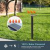 Inowel Solar Outdoor Light Pathway Dusk to Dawn Garden Lighting 17330 - 31.5in