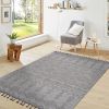 NAAR Guros Collection 4X6 White/White /Traditional Indoor/Outdoor Area Rug - as Pic